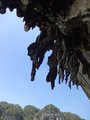 ../thumbnails/263-DSC06465.JPG.small.jpeg