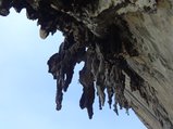 ../thumbnails/266-DSC06468.JPG.small.jpeg