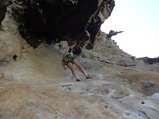 ../thumbnails/267-DSC06469.JPG.small.jpeg