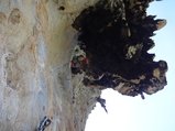 ../thumbnails/269-DSC06471.JPG.small.jpeg