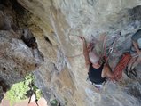 ../thumbnails/275-DSC06482.JPG.small.jpeg