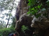 ../thumbnails/280-DSC06499.JPG.small.jpeg