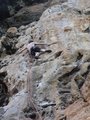 ../thumbnails/292-DSC06344.JPG.small.jpeg