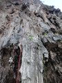 ../thumbnails/296-DSC06259.JPG.small.jpeg