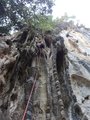 ../thumbnails/309-DSC06372.JPG.small.jpeg
