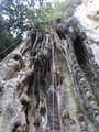 ../thumbnails/311-DSC06375.JPG.small.jpeg