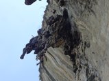 ../thumbnails/312-DSC06449.JPG.small.jpeg