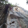 ../thumbnails/318-SAM_1665.JPG.small.jpeg